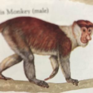 Meet your Posher, Carlos